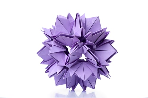 Preview: Violet blooming flower on white