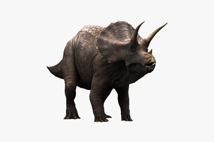 Preview: Detailed Triceratops with Horns and Frill