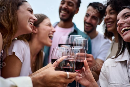 Preview: Group multiracial laughing friends toasting glasses red wine and celebrating summer party outdoors.