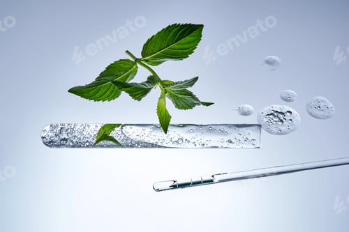 Preview: A test tube with the texture of serum or other cosmetics with mint and herbs.