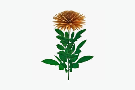 Preview: Multipetaled flower with radial symmetry