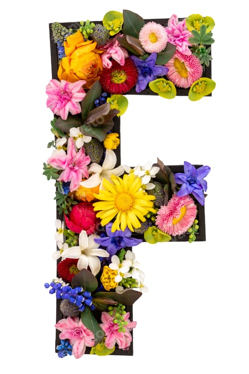 Preview: Letter F made of real natural flowers and leaves on white background isolated.
