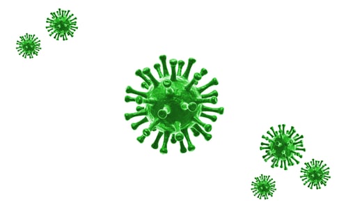 Preview: Green Coronavirus Microscopic Virus on White Background