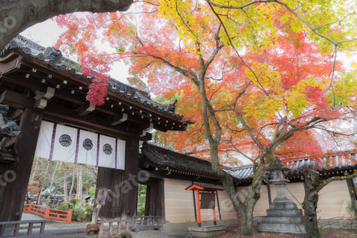 Preview: Imamiya Shrine in Autumn, Kyoto, Japan