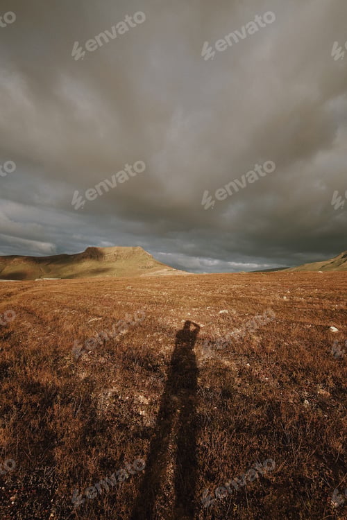 Preview: nature