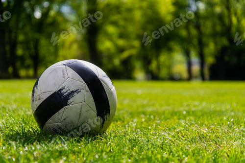 Preview: Soccer Ball on Green Grass Playground