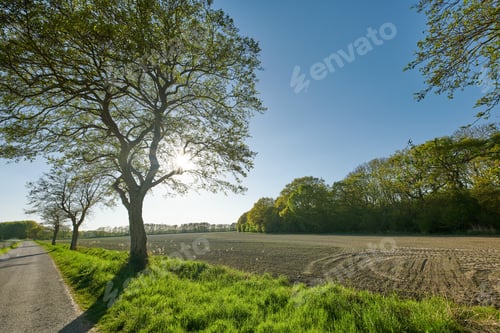 Preview: A photo of the countryside at summertime