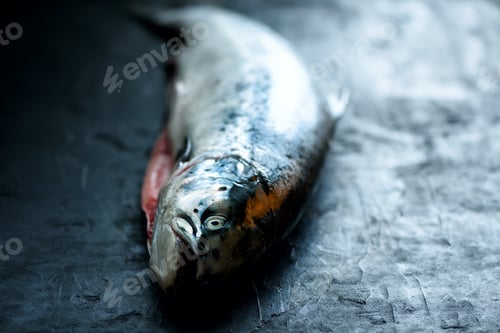Preview: Fresh salmon fish dark black concrete background prepared for filing. Copy space, top view