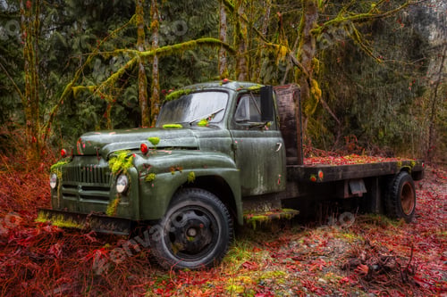 Preview: Old Vintage Abandoned Truck broken down in the woods
