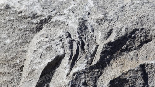 Preview: Detail And Texture Of A Large Rock - Close Up Photograph Showing Details And Textures Of A Large