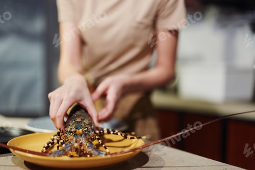 Preview: Woman holding lobster on plate with knife and fork in kitchen for gourmet seafood dining concept