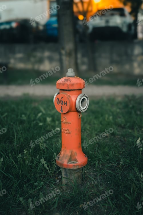 Preview: an orange fire hydrant in a grassy field near a tree