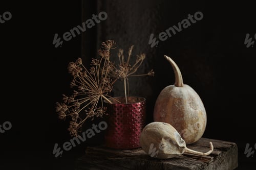 Preview: Autumnal composition with bay leaves branch