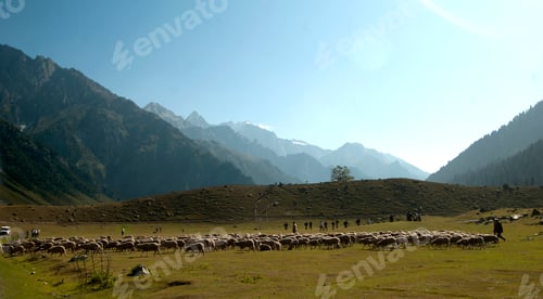 Preview: Himalayan landscape. Ladakh, India