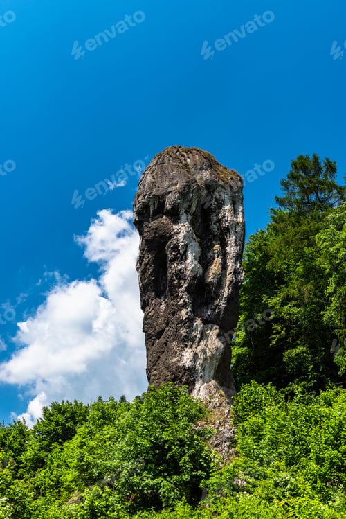 Preview: Hercules Mace, nature rock formation in Ojcowski National Park near Cracow, Poland