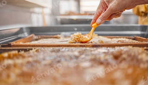 Preview: Hands, honey frame and harvest tool for uncapping beeswax at bee farm. Honey industry, farming work