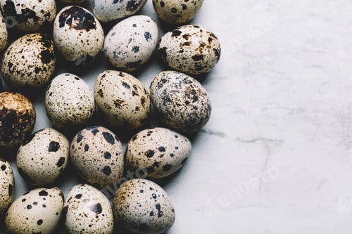Preview: Overhead View of Fresh Quail Eggs on Marble