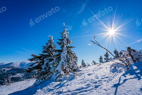 Preview: Beautiful winter landscape