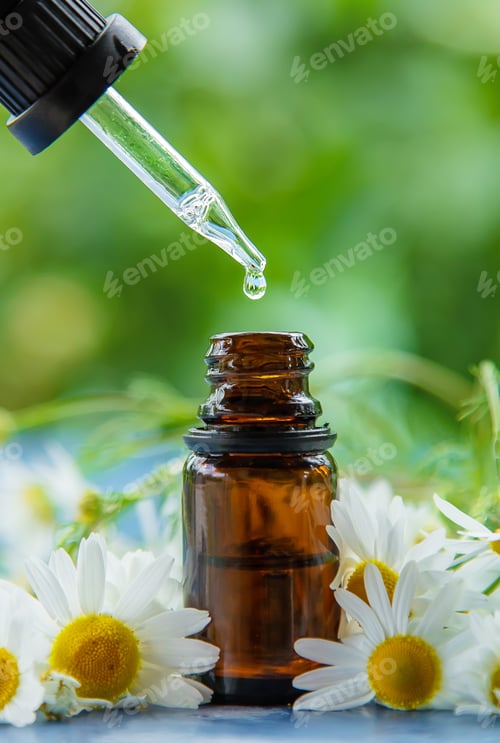Preview: Essential oil extract of medicinal chamomile. Selective focus.