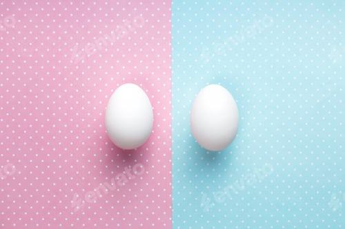 Preview: Two eggs on two color background.