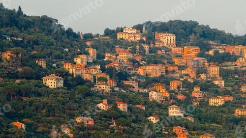 Preview: Colorful houses covering the hillside in camogli, liguria, italy