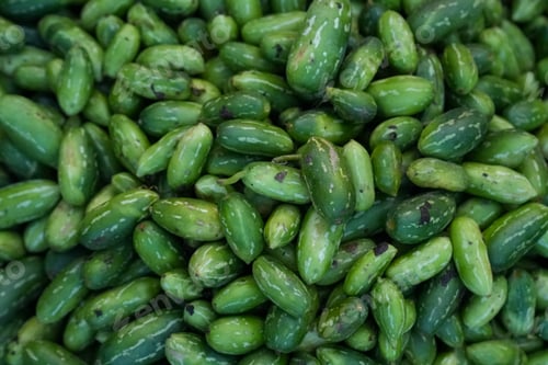 Preview: Large quantity of fresh cucumbers neatly arranged and stacked on a table