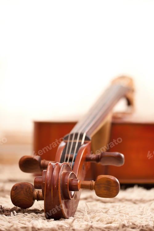 Close-up of Cello Scroll on Rug Indoors