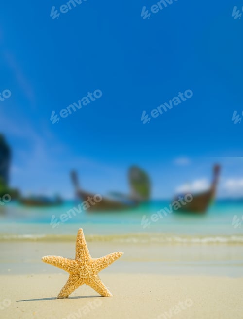 Preview: Starfish at the beach