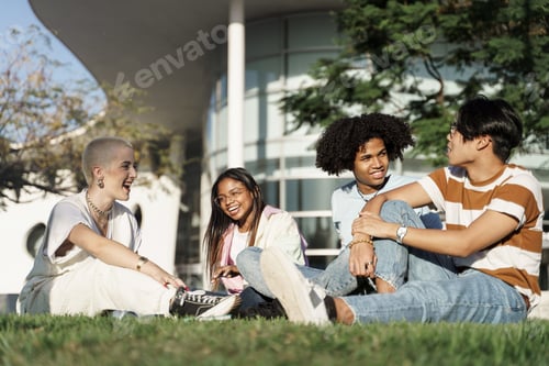 Preview: Group of multiracial teenager student friends sitting on the grass in the city park