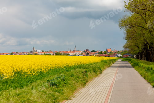 Preview: Bike path in Sudetes mountains in south Poland