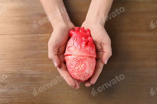 Preview: Man holding model of heart on wooden table. Heart attack concept