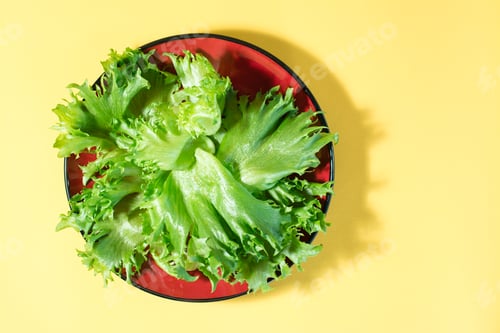 Preview: Fresh leaves of frieze lettuce on a plate on a yellow background. Healthy eating