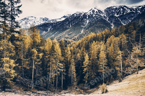 Preview: Autumn season in forest in high mountains