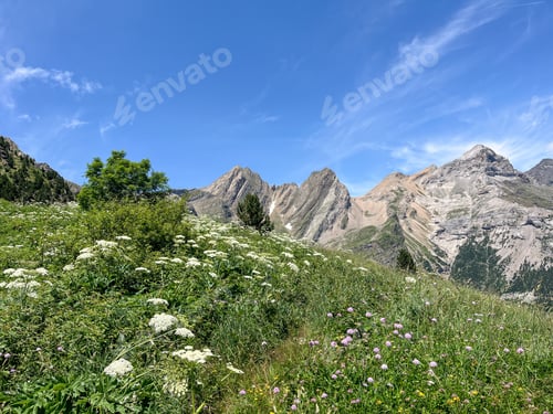 Preview: Scenic mountain valley in Monte Perdido and Ordesa