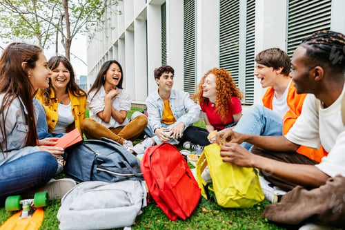 Preview: Diverse group of university students sitting on grass at campus college