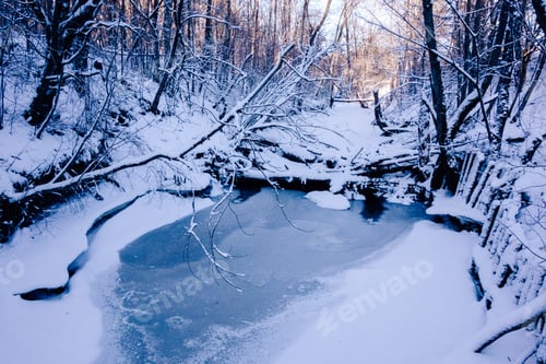 Preview: Winter pond