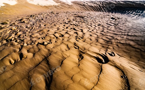 Preview: Therapeutic mud pool near coniferous forest