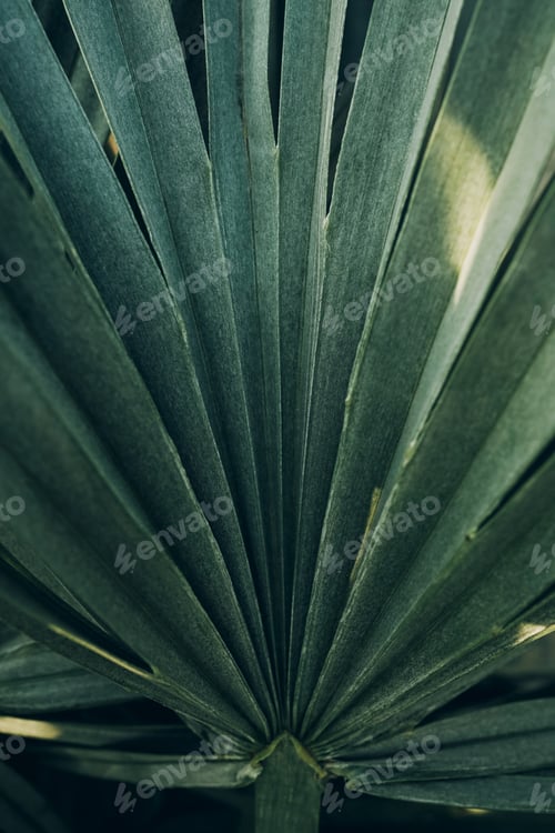 Preview: Green leaves background. Abstract natural floral background.