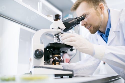 Preview: Scientist Using Microscope in Laboratory