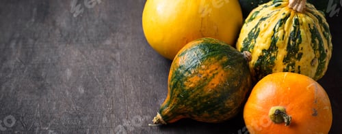 Preview: Assortment of decorative pumpkins. Autumn background