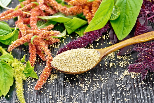 Preview: Amaranth Seeds on Wooden Spoon with Plants