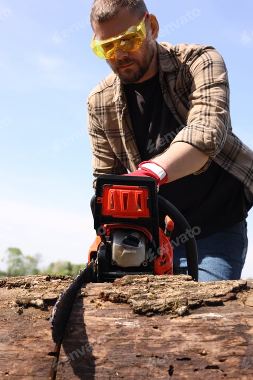 Preview: Man sawing wooden log on sunny day, low angle view