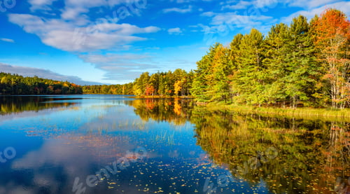 Vista previa: Vibrant trees and landscape by the lake. Nova Scotia, Canada