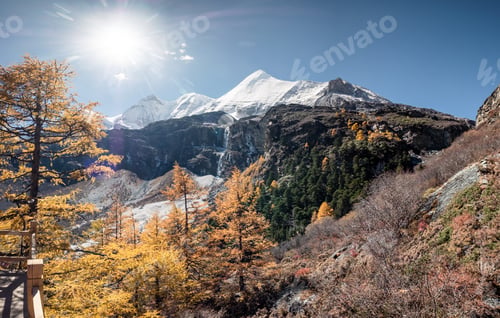 Preview: Yangmaiyong holy mountain with pine forest in autumn
