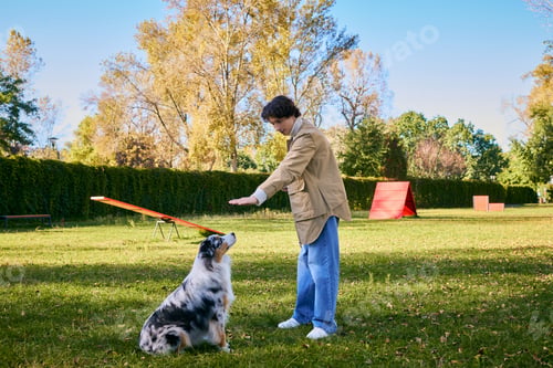 Preview: Curly-haired young man shares a joyful spring walk with his Australian Shepherd dog