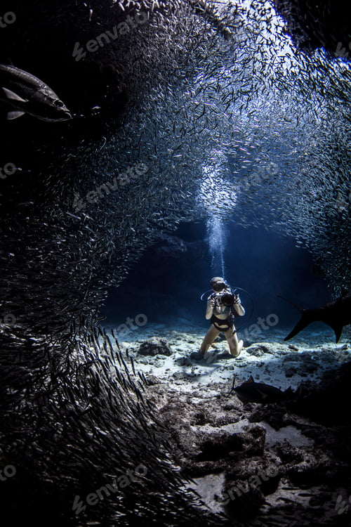 Preview: Diver photographing sealife