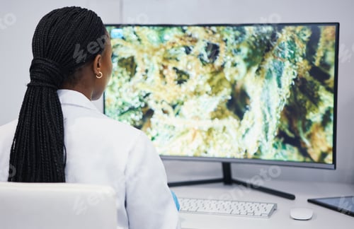 Preview: Computer, woman or scientist with marijuana research for sustainability or plants growth data analy