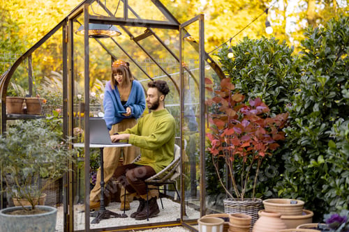 Preview: Couple works remotely on laptop in glasshouse at backyard