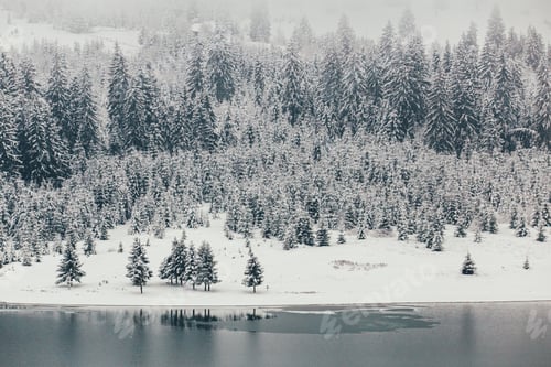 Preview: Winter postcard.
