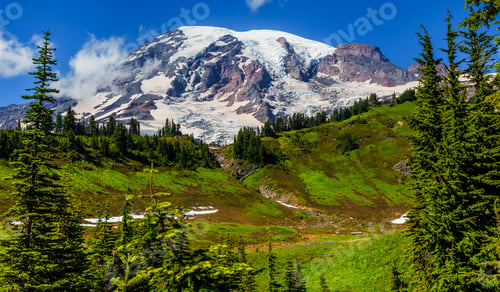 Preview: Mountain Rainier From The Skyline Trail In Paradise Valley, Mt Rainier National Park, Washington